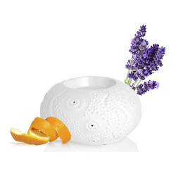 Puressentiel diffuseur à chaleur douce Calvi