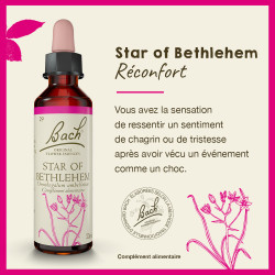 Fleurs de Bach Star Of Bethlehem n°29 - 20ml