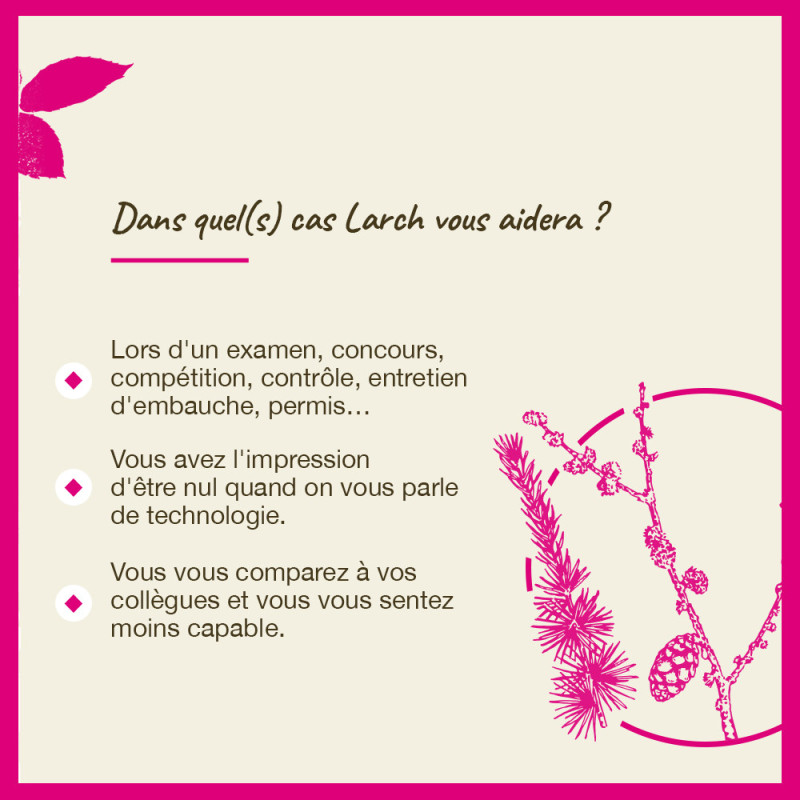 Fleurs de Bach Larch n°19 -...