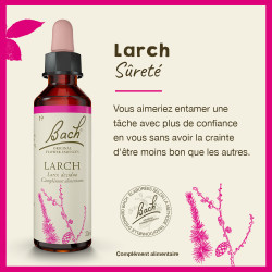 Fleurs de Bach Larch n°19 - 20ml
