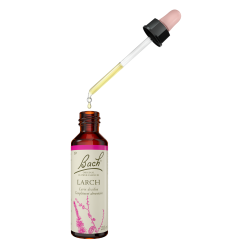 Fleurs de Bach Larch n°19 - 20ml