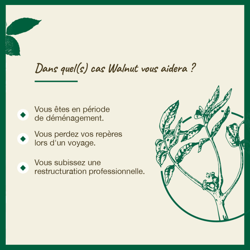 Fleurs de Bach Walnut n°33...