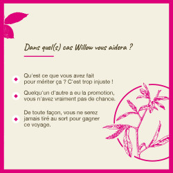 Fleurs de Bach Willow n°38 - 20ml