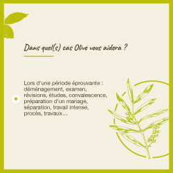 Fleurs de Bach Olive n°23 - 20ml