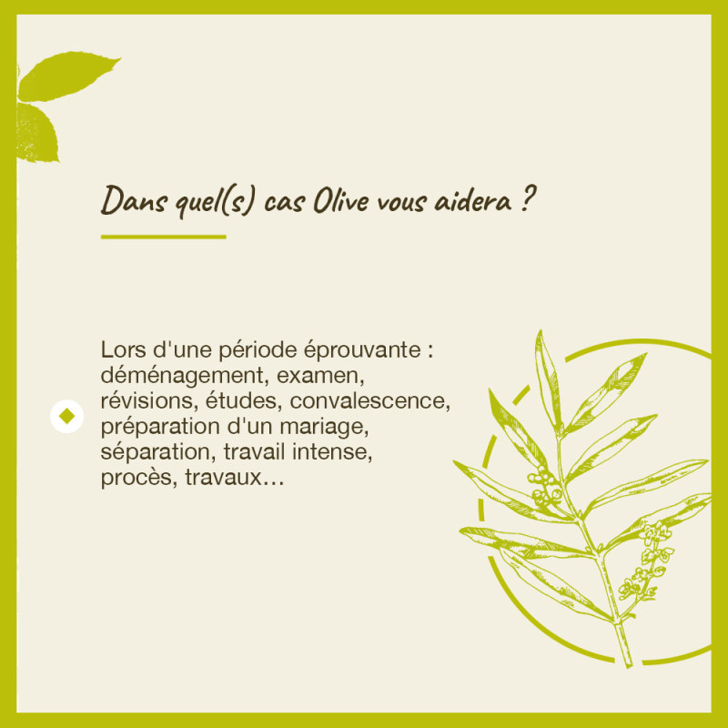 Fleurs de Bach Olive n°23 -...