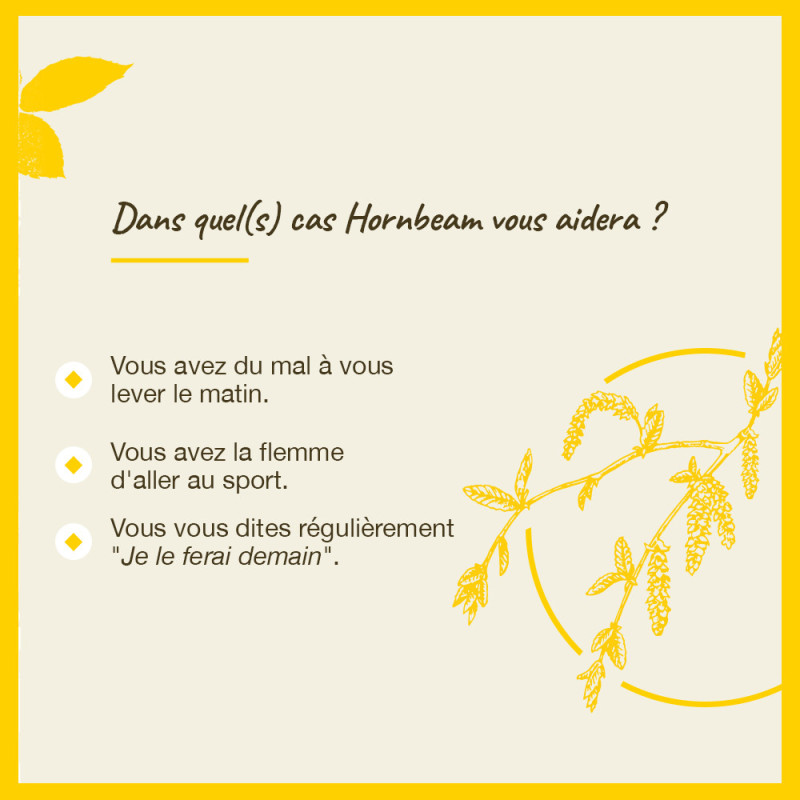 Fleurs de Bach Hornbeam...