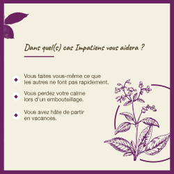 Fleurs de Bach Impatiens n°18 - 20ml
