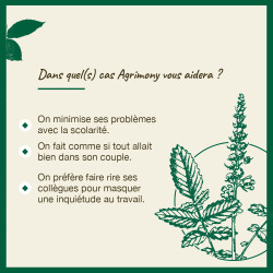 Fleurs de Bach Agrimony n°1 - 20ml