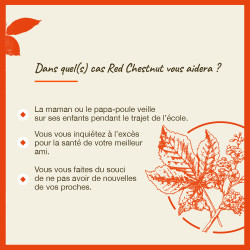 Fleurs de Bach Red Chestnut n°25 - 20ml
