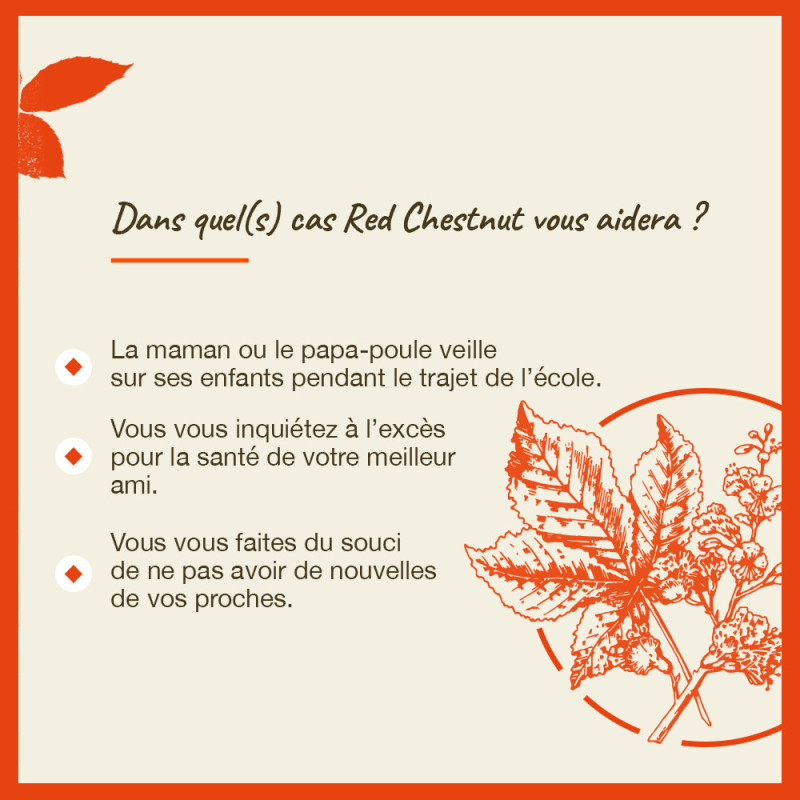 Fleurs de Bach Red Chestnut...