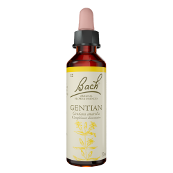 Fleurs de Bach Gentian n°12 - 20ml