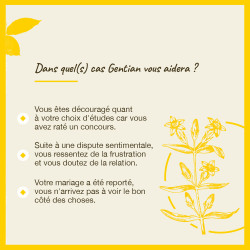 Fleurs de Bach Gentian n°12 - 20ml