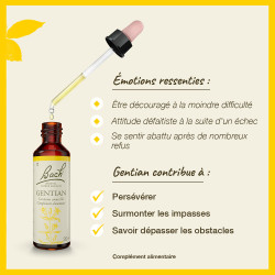 Fleurs de Bach Gentian n°12 - 20ml