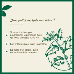 Fleurs de Bach Holly n°15 - 20ml