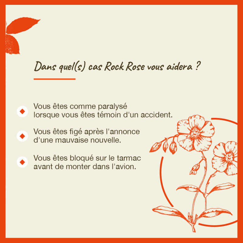 Fleurs de Bach Rock Rose...