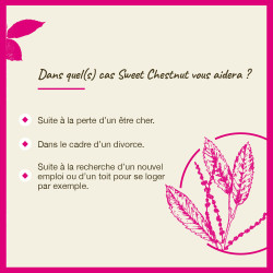 Fleurs de Bach Sweet Chesnut n°30 - 20ml