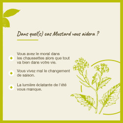 Fleurs de Bach Mustard n°21 - 20ml