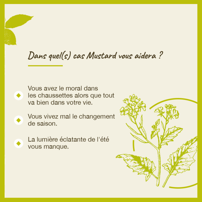 Fleurs de Bach Mustard n°21...