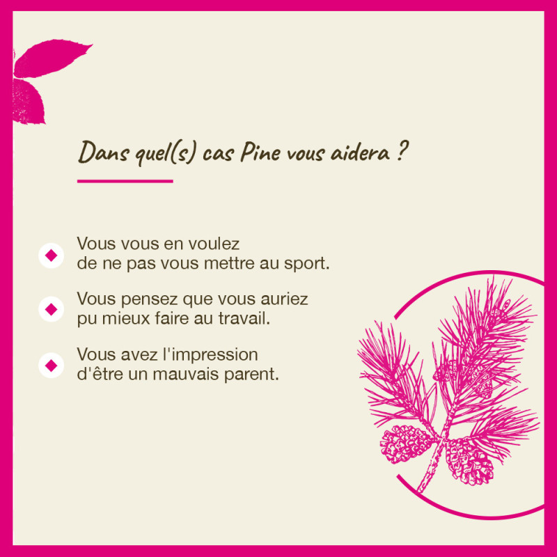 Fleurs de Bach Pine n°24 -...