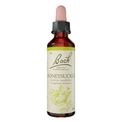 Fleurs de Bach Honeysuckle n°16 - 20ml