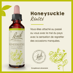 Fleurs de Bach Honeysuckle n°16 - 20ml