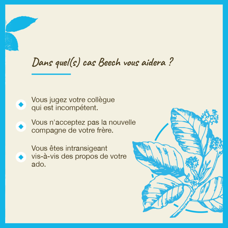 Fleurs de Bach Beech n°3 -...