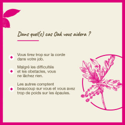 Fleurs de Bach Oak n°22 - 20ml