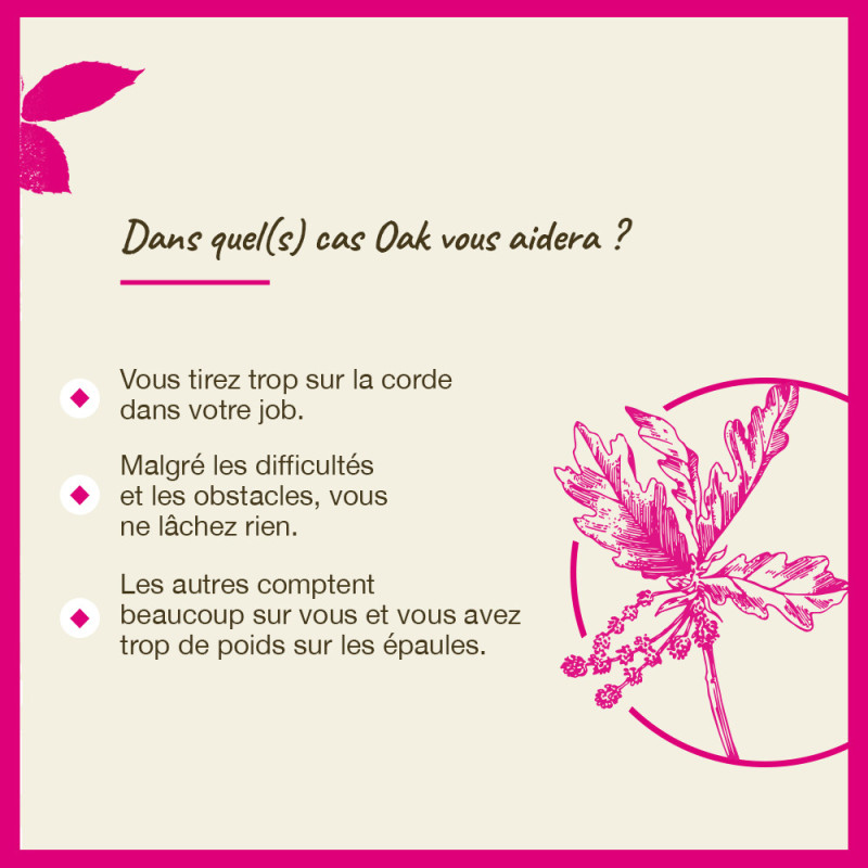 Fleurs de Bach Oak n°22 - 20ml