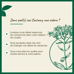 Fleurs de Bach Centaury n°4 - 20ml