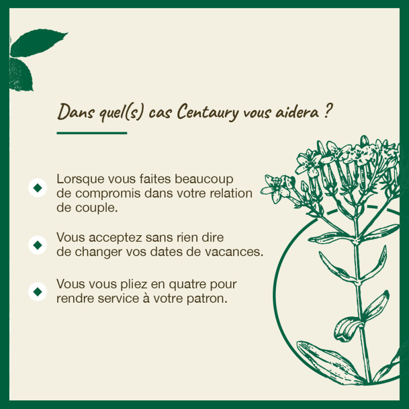 Fleurs de Bach Centaury n°4...