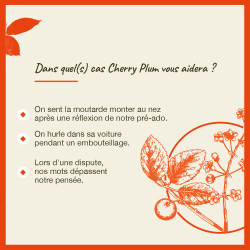 Fleurs de Bach Cherry Plum n°6 - 20ml