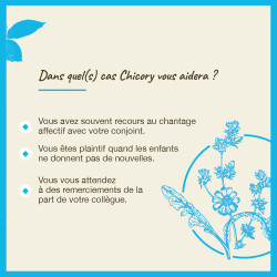 Fleurs de Bach Chicory n°8 - 20ml