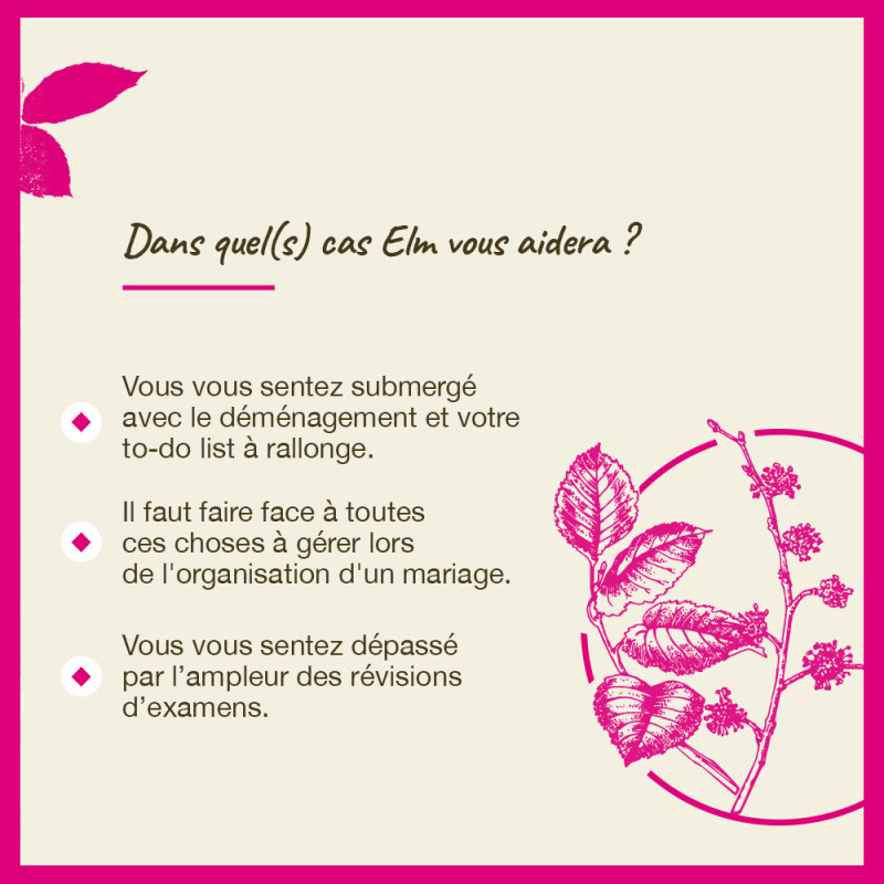 Fleurs de Bach Elm n°11 - 20ml