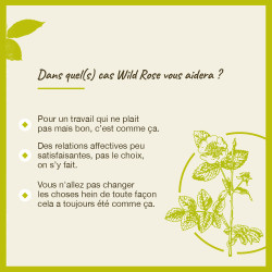Fleurs de Bach Wild Rose n°37 - 20ml