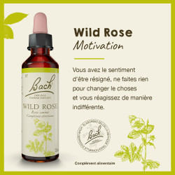 Fleurs de Bach Wild Rose n°37 - 20ml