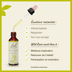Fleurs de Bach Wild Rose n°37 - 20ml