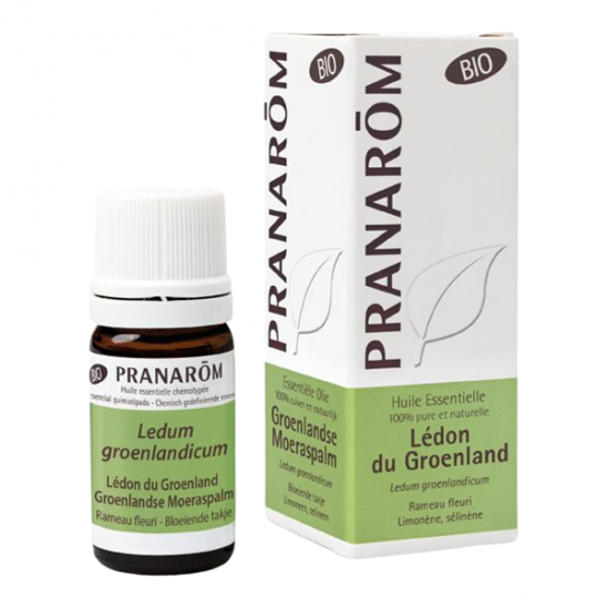 Pranarom huile essentielle cyprès de Provence bio 5ml