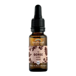 Biofloral Fleurs de Bach 13 Gorse, Ajonc bio 20ml